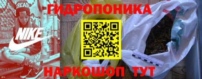 тгк Гай
