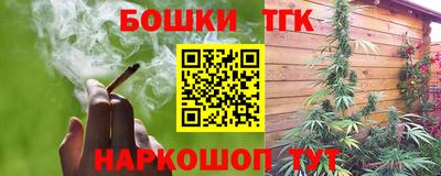 тгк Гай